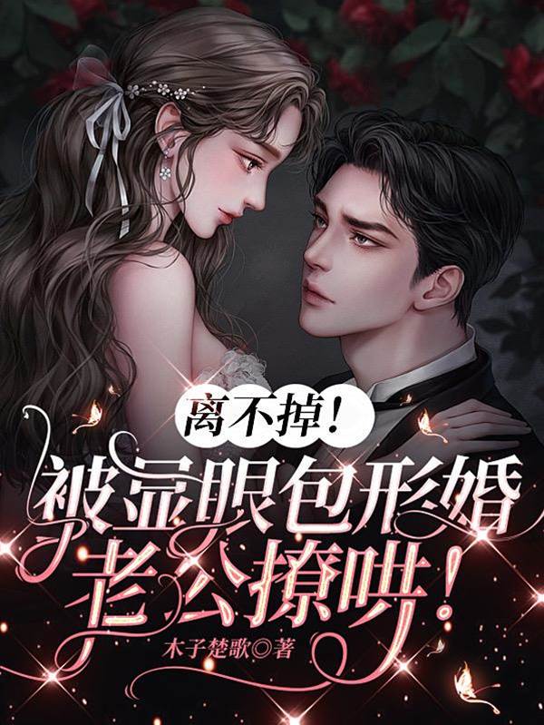 形婚大佬撩哄我