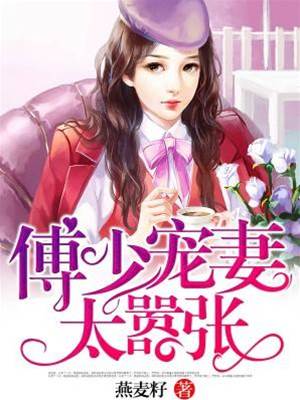 傅少寵妻上癮