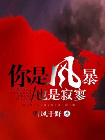 風暴入我懷
