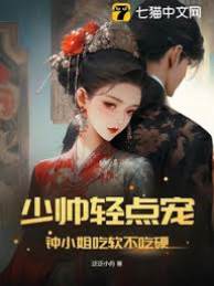 少帥寵她太強勢