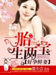 好孕嬌妻生雙寶