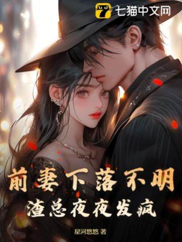 前妻失蹤，渣總瘋了