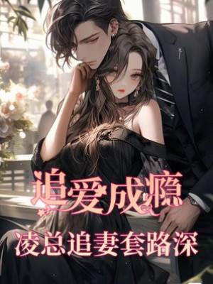 追愛成癮:淩總追妻套路深