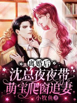 離婚後沈總追妻