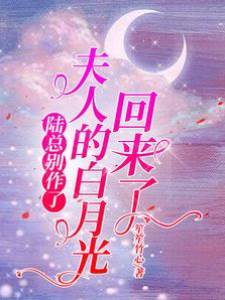 陸總別鬧了