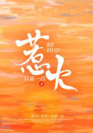 引火入怀