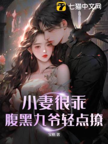 乖妻入懷九爺輕撩