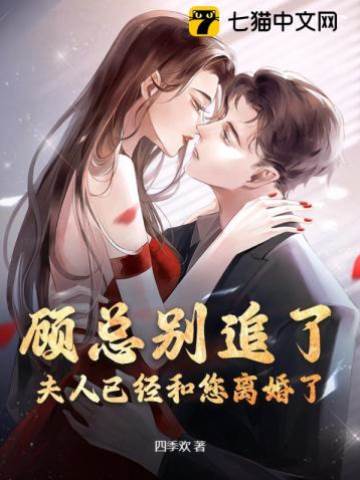 顧總夫人已離婚