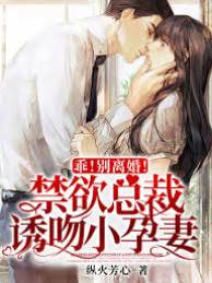 總裁誘哄小孕妻