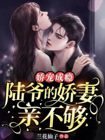陸爺追妻上癮