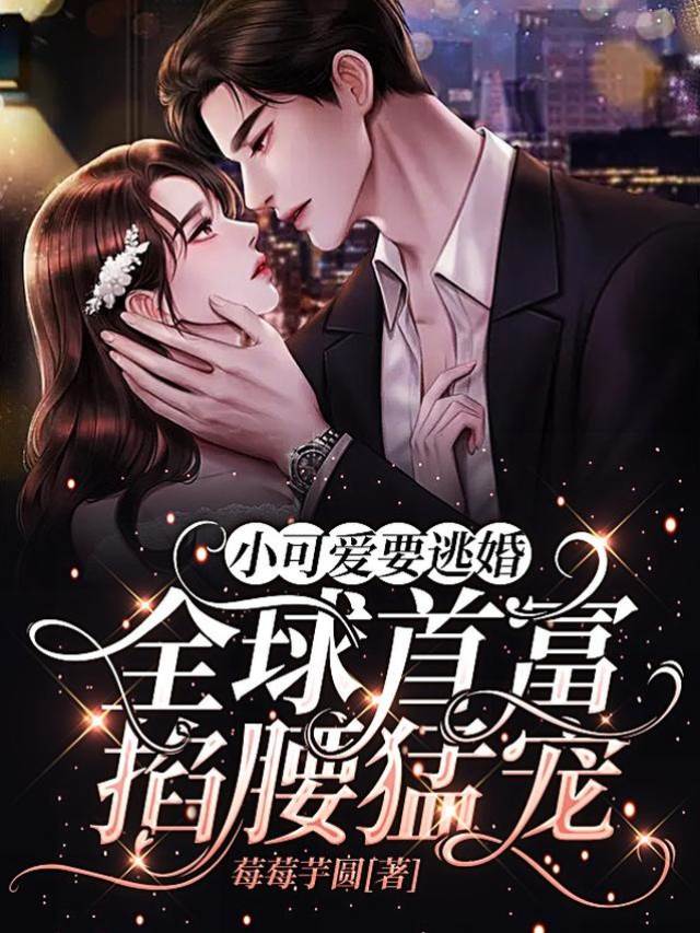 逃婚小妻藏馬甲