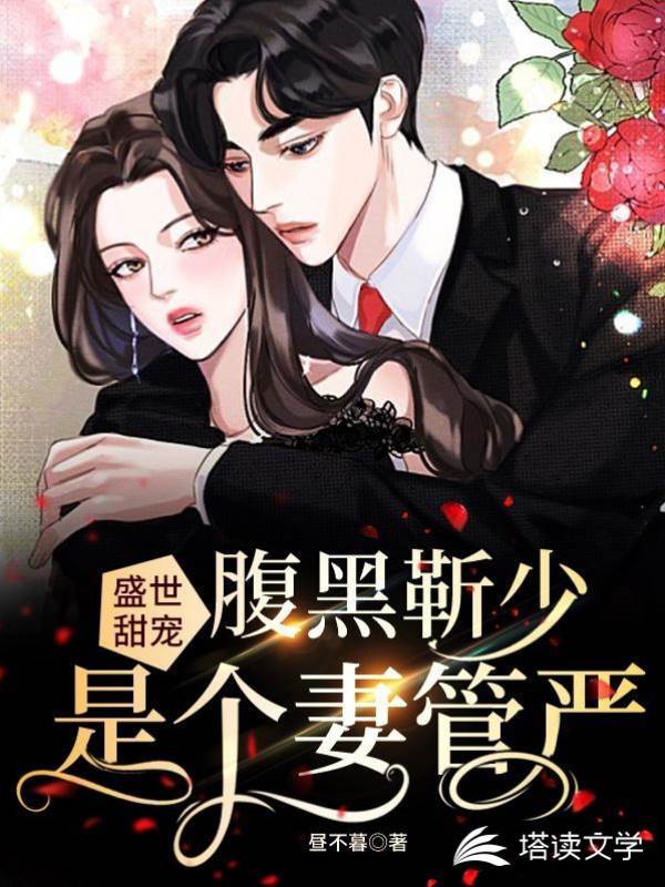 靳少寵妻成癮