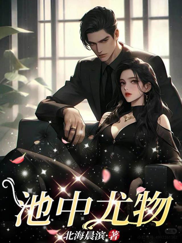 京圈强缔婚