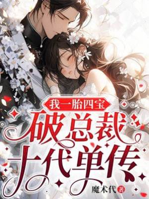 四宝破总裁单传