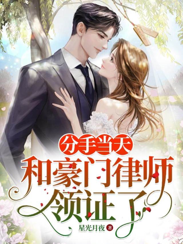 分手後閃婚律師