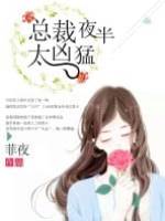 總裁夜寵成婚