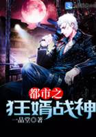 都市之狂婿戰神（葉鋒）