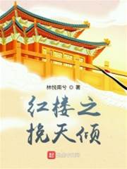 紅樓之挽天傾