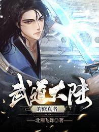 武道大陸的修真者