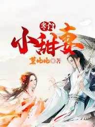 寒門小嬌妻
