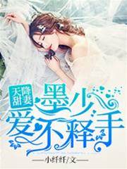 墨少寵妻成癮