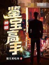 神眼鑒寶高手