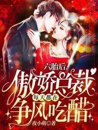 六胎后，傲嬌總裁每天都在爭風吃醋