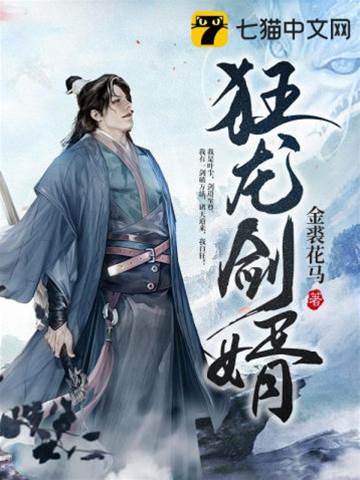 狂龍劍婿