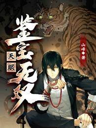 天眼:鑒寶無雙