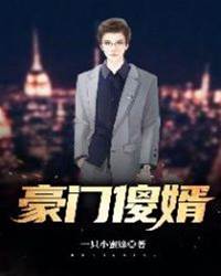 豪門傻婿