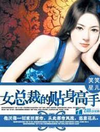 女總裁的貼身高手段飛