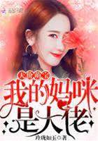 萌寶媽咪是大佬