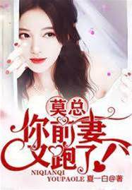 莫總前妻又逃了