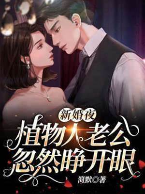 新婚夜他醒了
