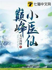巔峰小醫仙