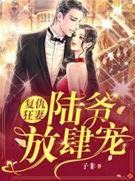 陸爺狂寵前妻