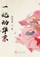 重生妃亂京華