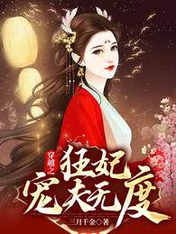 穿越狂妃宠夫忙