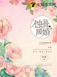 重生暖婚入骨