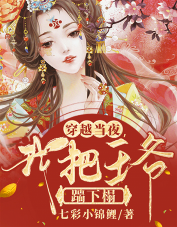 穿越夜踹翻王爷