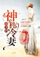 帝少的契約冷妻