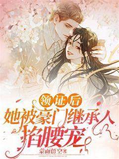 错领豪门婚证