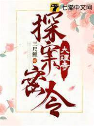 大理寺探案密令