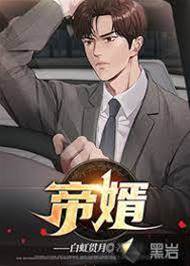 帝婿