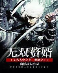 無雙贅婿（又名人中之龍、贅婿之王）