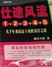 風流仕途
