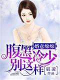 冷少婚意深