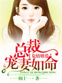 總裁掌心禁區