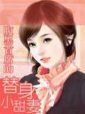 腹黑首席追逃妻
