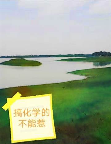 搞化學的不能惹